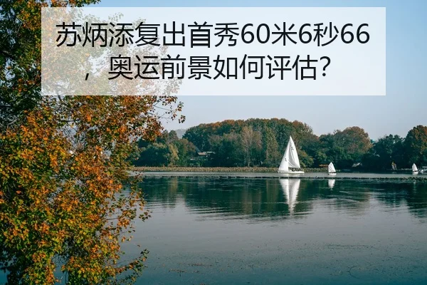 su-bing-tian-fu-chu-shou-xiu-mi-miao-ao-yun-qian-jing-ru-he-ping-gu-2-641.jpg