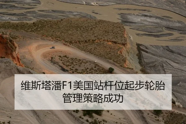 维斯塔潘F1美国站杆位起步轮胎管理策略成功