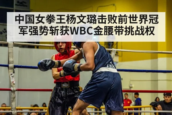 boxing match action