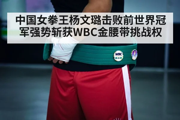 boxing championship belt