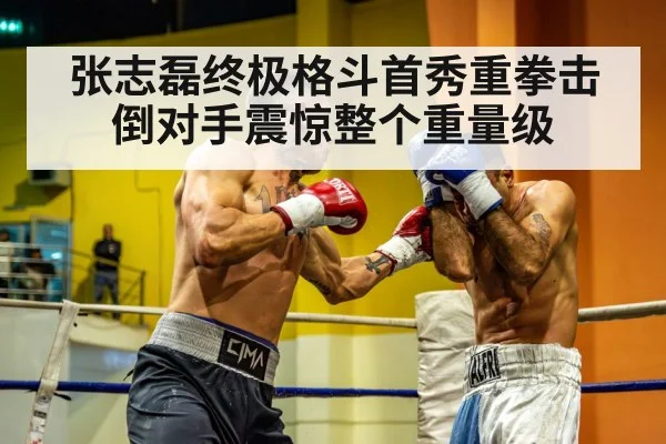 张志磊终极格斗首秀重拳击倒对手震惊整个重量级